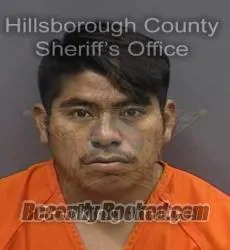 Booking photo from Hillsborough County, Florida