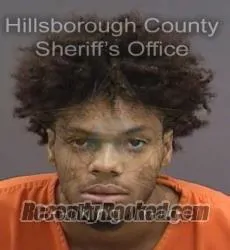 Booking photo from Hillsborough County, Florida