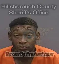 Booking photo from Hillsborough County, Florida