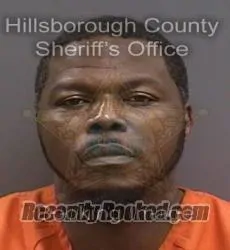 Booking photo from Hillsborough County, Florida