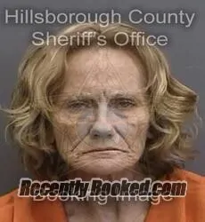 Booking photo from Hillsborough County, Florida