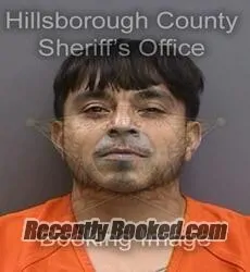 Booking photo from Hillsborough County, Florida