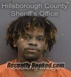 Booking photo from Hillsborough County, Florida