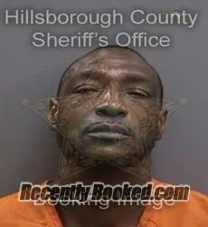 Booking photo from Hillsborough County, Florida