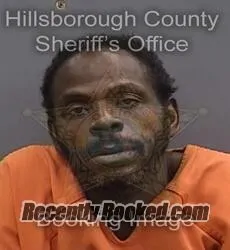 Booking photo from Hillsborough County, Florida