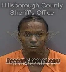 Booking photo from Hillsborough County, Florida