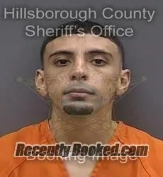 Booking photo from Hillsborough County, Florida