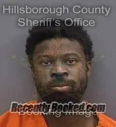 Booking photo from Hillsborough County, Florida