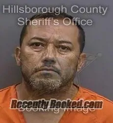 Booking photo from Hillsborough County, Florida