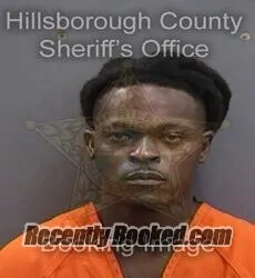 Booking photo from Hillsborough County, Florida
