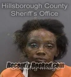 Booking photo from Hillsborough County, Florida