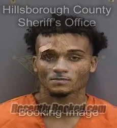 Booking photo from Hillsborough County, Florida