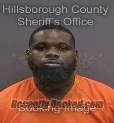 Booking photo from Hillsborough County, Florida