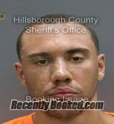 Booking photo from Hillsborough County, Florida