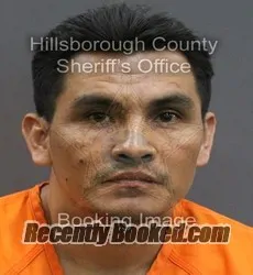 Booking photo from Hillsborough County, Florida