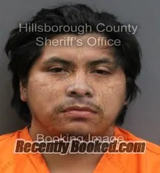 Booking photo from Hillsborough County, Florida