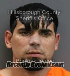Booking photo from Hillsborough County, Florida
