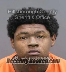 Booking photo from Hillsborough County, Florida