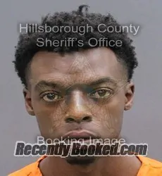 Booking photo from Hillsborough County, Florida