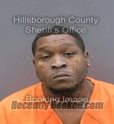 Booking photo from Hillsborough County, Florida