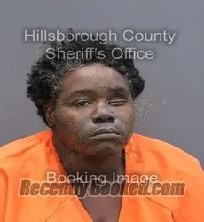 Booking photo from Hillsborough County, Florida