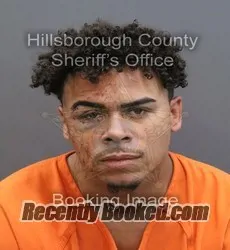Booking photo from Hillsborough County, Florida