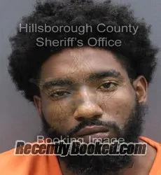 Booking photo from Hillsborough County, Florida