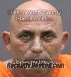 Booking photo from Hillsborough County, Florida