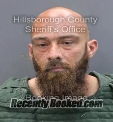 Booking photo from Hillsborough County, Florida