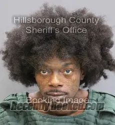 Booking photo from Hillsborough County, Florida