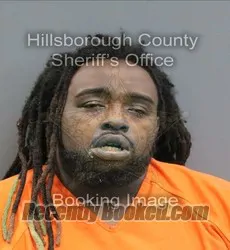Booking photo from Hillsborough County, Florida