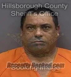 Booking photo from Hillsborough County, Florida