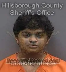 Booking photo from Hillsborough County, Florida
