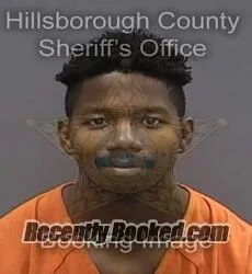 Booking photo from Hillsborough County, Florida