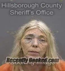 Booking photo from Hillsborough County, Florida
