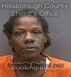 Booking photo from Hillsborough County, Florida