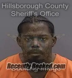 Booking photo from Hillsborough County, Florida