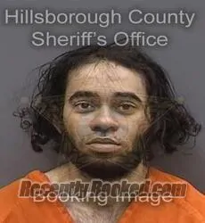 Booking photo from Hillsborough County, Florida