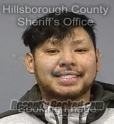 Booking photo from Hillsborough County, Florida