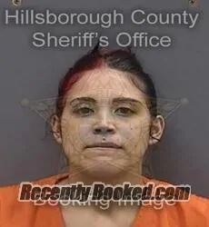 Booking photo from Hillsborough County, Florida
