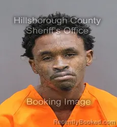 Mugshot of ELIJAH CHRISTOPHER FORD