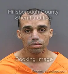 Mugshot of JOHN MICHAEL MEDLIN SOTO