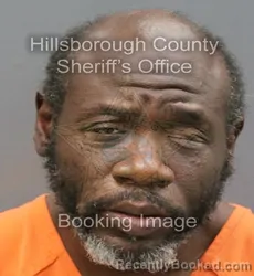 Mugshot of LARRY LEMONTH WILSON