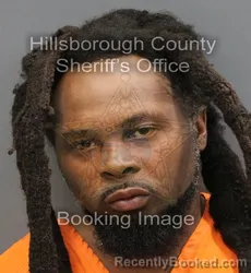 Mugshot of MARCISE JAUREL WILSON