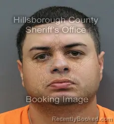 Mugshot of FRANKIE LEONEL CABRERA