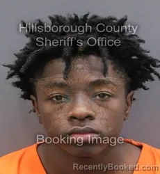 Mugshot of NICHOLAS BERNARD II WILSON