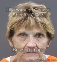 Mugshot of JULIE ANNE STEWART