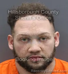 Mugshot of GENALDO ANDRES MERCADO