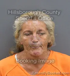 Mugshot of TINA MARIE VANDERHAM booked in Hillsborough County, Florida on April 7, 2026