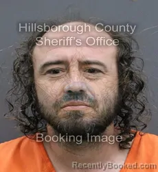 Mugshot of NATHEN CHARLES ELY booked in Hillsborough County, Florida on April 7, 2026